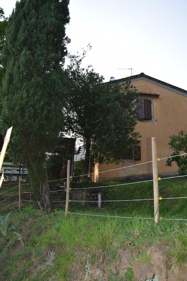 UzzanoLa Casa Sui Colli别墅 外观 照片