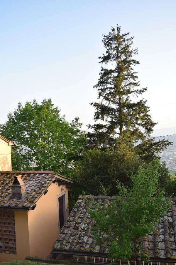 UzzanoLa Casa Sui Colli别墅 外观 照片